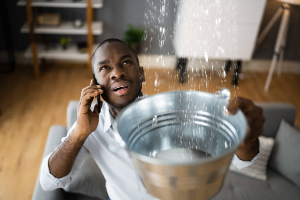 Best Basement water damage restoration  in Conyngham, PA