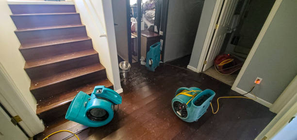 Best Water damage restoration mold remediation  in Conyngham, PA
