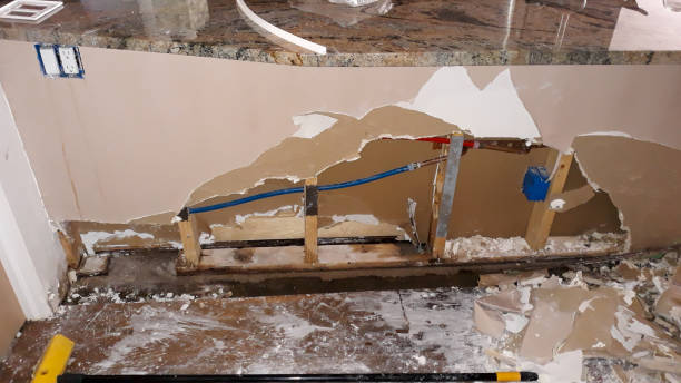 Best Ceiling water damage repair  in Conyngham, PA