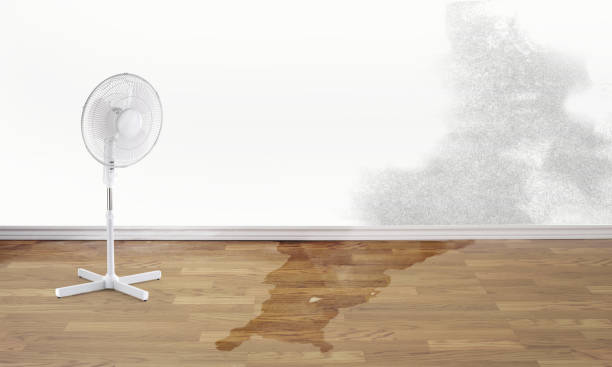Best Water damage restoration company  in Conyngham, PA