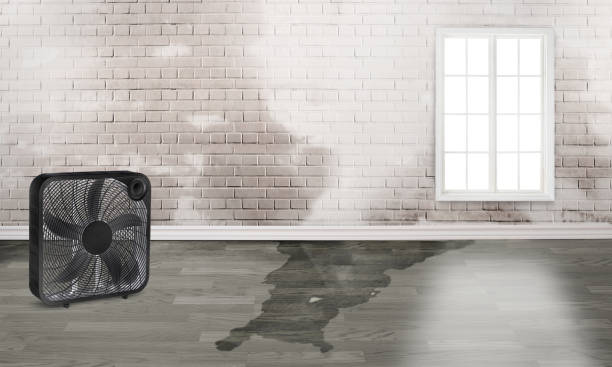 Best Flood restoration services  in Conyngham, PA