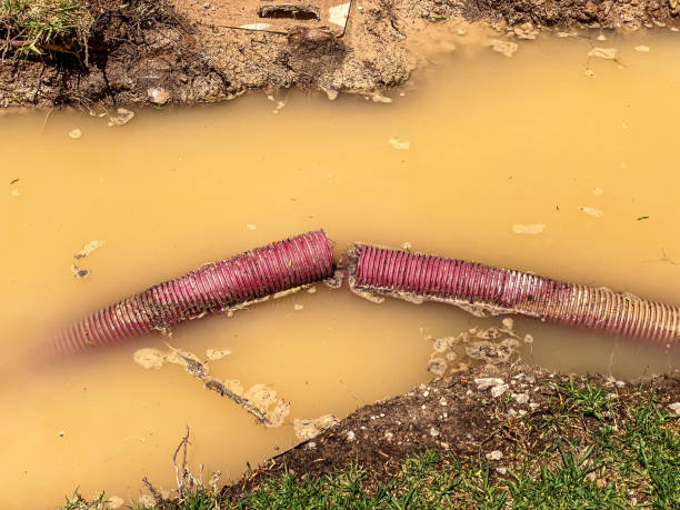 Best 24/7 water damage repair  in Conyngham, PA