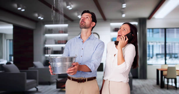 Best Local water damage restoration  in Conyngham, PA